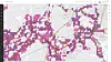 Geodata Online består av over 2 000 datasett, basert på offentlige og kommersielle data. Kartutsnittet viser kollektivdekning og skoler.