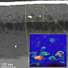 Her har forskerne kapslet inn proteindekte gullnanopartikler i en mikroskopisk glassdråpe. Teknikken åpner for kjemisk analyse i et elektronmikroskop. Gullet er rødt, proteinene er grønne og glasset er blått.