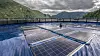 Ocean Sun har utviklet en løsning for flytende sol. Løsningen er basert på modifiserte solcellemoduler installert på en fleksibel flytende struktur.