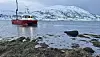 Polar Algae høster inn alger for bruk i flere ulike produkter. Innhøstingen roterer, slik at de samme feltene bare høstes hvert femte år. Foto: Caroline Haukeland/Polar Algae