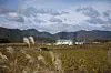 HARDT RAMMET: En åker ligger brakk i nærheten av det katastroferammede atomkraftverket Fukushima Daiichi nordøst i Japan. Store jordbruksområder i denne regionen er så sterkt forurenset av radioaktivitet, at de ikke lenger kan brukes til produksjon av matvarer, advarte fagfolk tirsdag. Regionen ble 11. mars i år rammet av et jordskjelv og en tsunami, og kraftverket fikk store skader.