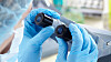 Science team working with microscopes in a laboratory