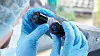 Science team working with microscopes in a laboratory