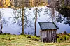 Både Storavatnet og Småvatnet i Loddefjord har historisk hatt god vannkvalitet, men nye målinger viser økte nivåer av nitrogen.