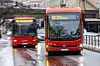 En BYD-buss fra Kina foran en buss fra svenske Scania i Oslo i februar. Foto: Arash A. Nejad
