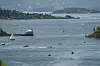 Forskere har lenge advart mot at økosystemet i Oslofjorden kollapser.