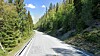 Riksvei 41 rett nord for Birkeland i Agder.