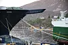 Baugspyd og bulb. Bulben har en klar misjon for energibruk, men spydet har mer å si for lengde og visuelt uttrykk.