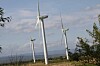 MER LØNNSOMT: Siemens' fornybarsjef René Umlauft tror vindkraft vil kunne produseres til markedspris uten subsidier om åtte år.