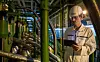 DNV GL henter inn og strukturerer store mengder data fra skipsinspeksjoner over hele verden. Foto: DNV GL