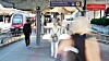 Buss for tog har vært vanlig for flere togstrekninger i sommer. De siste dagene har Bane Nor i tillegg hatt store problemer med signalanlegget.