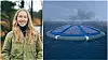 Karoline Sjøen (23) tar master i materialvitenskap for energi og nanoteknologi hos Unitech. Hun skal sørge for at solcellepanel til havs kan rense vekk salt og holde seg rene.