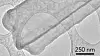 Bildet viser en dendritt av litiummetall, tatt med kryoelektronmikroskopi. Her vises det at dendritten er en sekssidet krystallings nanotråd med tydelig definerte fasetter.