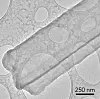 Bildet viser en dendritt av litiummetall, tatt med kryoelektronmikroskopi. Her vises det at dendritten er en sekssidet krystallings nanotråd med tydelig definerte fasetter. Foto: Y. Li et al, Science