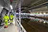 Renseanlegget til Oslo kommune på Bekkelaget er blant landets mest avanserte. Nitrogenrensing er allerede på plass. Foto: TUM Studio