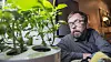 Familien Solheim gror urter, tomater og chili i en egen urtehagestasjon. Stasjonen er vannbasert og sørger for at alle plantene får det de trenger. Foto: Mathias Klingenberg