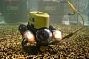 Øye for detaljer: VideoRay er en såkalt ROV (Remotely Operated Vehicle) som du kan styre i tre dimensjoner og filme det du vil under vannet, begrenset til lengden på kabelen vel å merke.