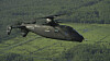 Flytestinga av S-97 Raider går bedre enn forventet, melder Sikorsky etter at de for et par uker siden fikk den andre prototypen opp i en hastighet på over 200 knop.