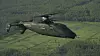 Flytestinga av S-97 Raider går bedre enn forventet, melder Sikorsky etter at de for et par uker siden fikk den andre prototypen opp i en hastighet på over 200 knop.