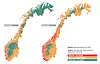 Kart over ulike soner i klimafremskrivingen for henholdsvis historisk periode og perioden år 2031–2060. Både tre- og murkirker får utfordringer ved økt fuktbelastning over tid. Skjermbilde: KAs nøkkeltallsrapport om klimasikring av kirker