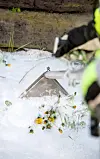 Skummet er biologisk nedbrytbart og forsvinner kort tid etter at det har vært i bruk. Foto: NCC