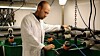 Tarald Kleppa Øvrebø, daglig leder i Shrimp Vision, vil bruke spillvarme fra industrien til å drive oppdrett av tropiske reker i Norge.