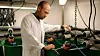 Tarald Kleppa Øvrebø, daglig leder i Shrimp Vision, vil bruke spillvarme fra industrien til å drive oppdrett av tropiske reker i Norge.