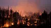 Klimaendringene gjør at jorda tidvis står i brann. Skogbrannfaren har økt mange steder, blant annet i California.