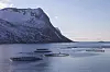 TREDJE STERKESTE: Sjømat, nære land og langt til havs, er ett av næringsfeltene Norge er i særklasse på. Foto: Arildina/Shutterstock