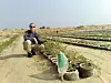 Test: Ole Morten Olesen under en test i ørkenen i Egypt.