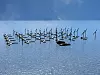 FLYTENDE KRAFTVERK: Med en kombinasjona av vind og bølgekraft, brukes elektrolysører til å framstille hydrogen fra havet.