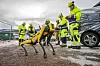 Lasse Bjørnstad, BIM-tekniker i NCC, styrer roboten under demonstrasjonen på den nye jernbanestasjonen i Drammen. Fire bein, kopiert direkte fra dyreverdenen, har vist seg overlegne til å ta seg fram over hindringer og på ujevne underlag. Selv på glattisen klarte robothunden seg fint, men den ble litt forsiktig i stegene..... Foto: Arash A. Nejad