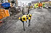 Det kan minne om å styre en drone når man passer på robothunden. Men den kan også programmeres til å være selvgående. Foto: Arash A. Nejad