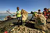 Samler inn: 11 000 innsamlere i aksjon som samler inn plastavfall er bare en begynnelse. Det skal blir langt fler. Men like viktig er det at store plastprodusenter nå kjøper det som råstoff Foto: Plastic Bank