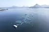 Finansdepartementet vil ikke svare på om de er fornøyd med resultatene fra lakseskatten. Bildet er fra Mowis anlegg ved Aukrasanden i Møre og Romsdal.