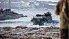 AAV-7, amfibisk PKK Foto: Marte Brohaug/ Forsvaret