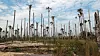 Illegale gullgruver bidrar til å avskoge deler av Amazonas, som her ved Puerto Luz. Minst 18000 hektar skog er forvandlet til ørken i området. De illegale gullgruvene pekes på som en hovedårsak, ved siden av landbruk.
