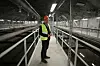 Det gjelder å finne den hårfine balansen mellom overinvestering og underinvestering.Underdimensjonert: Bækkelaget renseanlegg er stort, men for lite for Oslos raskt voksende befolkning, ifølge sivilingeniør og daglig leder, Ola Toftdahl.