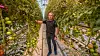 Mære landbruksskole har kuttet både energi- og propanforbruket sitt kraftig. CO2-utslippene har gått ned med 99 prosent. Samtidig doblet de tomatavlingen. Produksjonsleder i gartneriet, Arnar Risan. Foto: Havard Zeiner