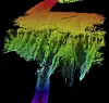 BUNNKART: Dette bildet av havbunnen er skapt ved etterarbeid av signaler fra kongsberg Maritimes EM 300 hydrographic multibeam echo sounder.