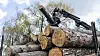 Utslippskategorien «skog og arealbruk» spiller en viktig rolle for klimaet og er en het potet for den norske regjeringen.