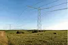 Det meste av strekningen får en ny type mast, den såkalte Thor-masten, som er visualisert på bildet. Linjen har en spenning på 400 kilovolt (kV).