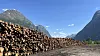 Når brukt trevirke brennes, går karbonet rett ut i lufta. Men på papiret har det ingen klimaeffekt. Argumentet er at «skogen vokser opp igjen og tar det tilbake», skriver innleggsforfatteren.