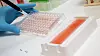− Vi kunne laget Vaccibody-vaksinen både som protein og RNA, men som DNA er produksjonen enklere, og produktet mer stabilt. Vi har klart å lage vaksine for hver eneste pasient vi har prøvd å lage vaksine for. Det samme er det ikke mange av de som bruker RNA som kan si, sier Fredriksen. Foto: Sverre Chr. Jarild