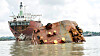 Shipbreaking_Photo_ReinhardFasching.