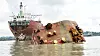 Shipbreaking_Photo_ReinhardFasching.