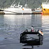 Oteren - en liten farkost Maritime Robotics har utviklet. Ett av to testfartøy tilhørende Kongsberg Seatex i bakgrunnen. Foto: Tore Stensvold
