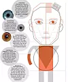 Illustrasjon: Nanna Skytte/Ingeniøren