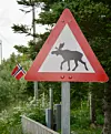 Fareskiltene er basert på kunnskap om hvor dyrene befinner seg. Du må ta hensyn til dem. Foto: Pixabay.