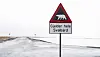 Tomta som er til salgs på Svalbard på 60.000 mål har fått mye oppmerksomhet i internasjonale medier de siste dagene. Nå er PST koblet på salget. Bildet er fra Longyearbyen.
